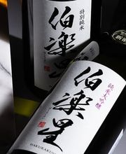 Nippon Food GmbH / Japanischer Online Shop Bild 11