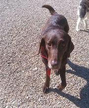 Brentwood Animal Campus image 12