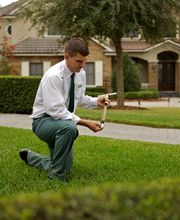 Massey Services GreenUP Lawn Care image 1