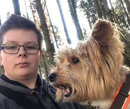 Teamwalk-Hundetrainer Bild 3