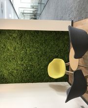 Baum & Raum Daniela Hinkelmann Bild 4