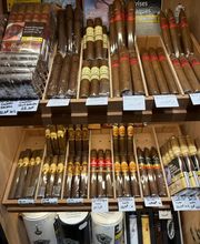 Vigour Sandrine image 3