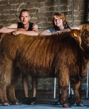 Hilgemeiers beef & more Bild 2