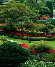 GFW - Garten - Findlinge - Wasserspiele