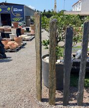 Racine Sud Agro Perret (SA) image 1