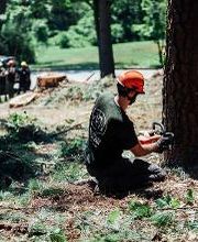 Top Tier Trees image 20