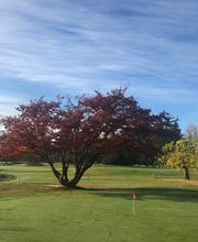 Restaurant du Golf image 6