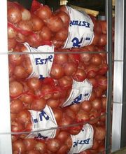 CEBESTUR,S.L. imagen 18