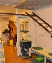 Clinique Vétérinaire Delémont Bild 2