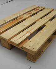 Kartonfritze Carl Evers GmbH & Co. KG Bild 4