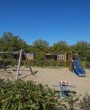 La noix de Pécany image 2