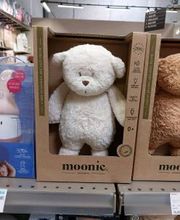 ORCHESTRA AJACCIO Sarrola-Carcopino image 10