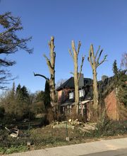 Thies Dölger Gartenbau Bild 8