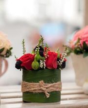 Gallery Cliente