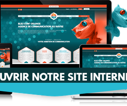 Bleu Com' Orange image 1