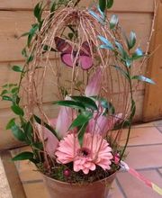 Maison NECTOUX Fleurs et nature image 10