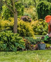 HGF Garten- und Hausmeisterservice