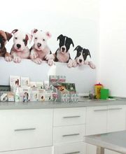 gallarza-centro-veterinario-consulta-03.jpg