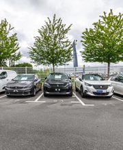 Mongodin Bellevue 1 image 2