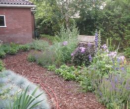 Hoveniersbedrijf Rozendaal
