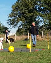 Hundeschule RolfsRudel  Rolf Matar Bild 15