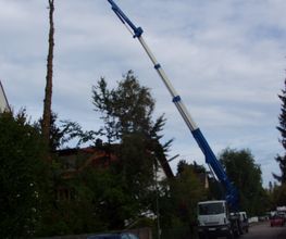 Trinkgeld GmbH Garten- & Landschaftsservice Bild 14