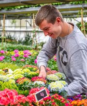 Fleurs Stempfler image 15