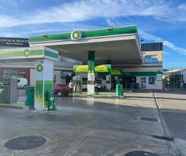 bp imagen 3