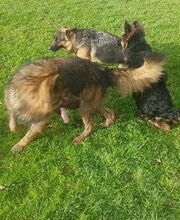 Pension d'Arcomps image 1