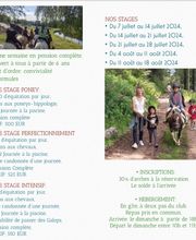 Centre Hippique la Jumenterie image 9