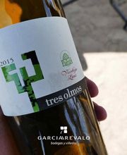 bodegas-garciarevalo-tres-olmos-01.jpg