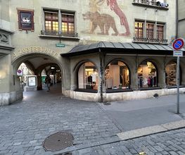 Overall View - Windows (Hero Image)