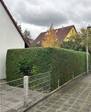 Gartenservice Mark Miess Bild 28