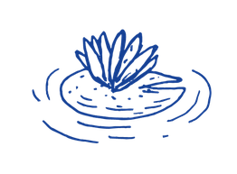 Biocoop La Fringale Coopérative Nymphéa