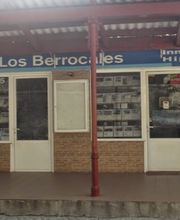 FOTO1LOSBERROCALES.jpg