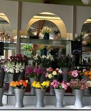 Blumen Haider Bild 5