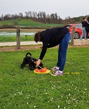 Blättler's Hundeschule Bild 2