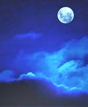 Mercier Alain image 6