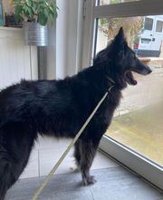 Paula Toutou Mobile image 7