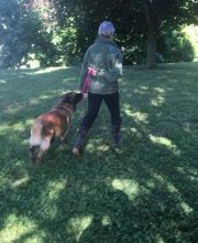 Aikenka Education Canine image 2