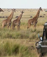 Namibia Dreams Reiseveranstalter Namibia Bild 2