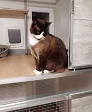 Pattenrond & Cie image 8