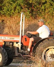 Domaine Blachon image 7