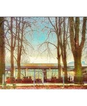 Orankesee-Terrassen Bild 4