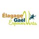 Elagage Gael Espaces Verts