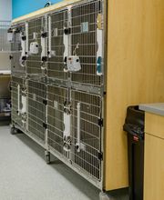 AcutePet Urgent Care image 12