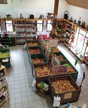 Obstscheune Krietzschwitz Bild 5