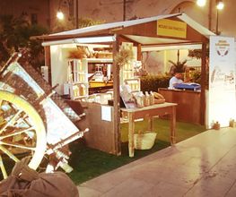 Gallery Cliente