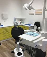 Dr. med. dent. Raymond F. Vogel Bild 9