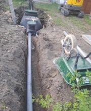 Thomas Damien image 6